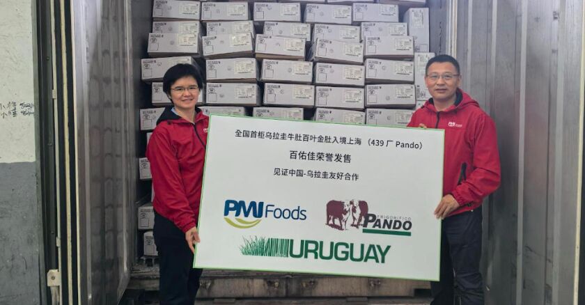 Primer envío de mondongos uruguayos a China marca hito en exportaciones de subproductos cárnicos.