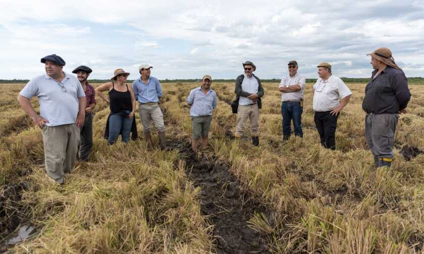 WhatsApp Image 2022-11-25 at 18.40.58.jpeg