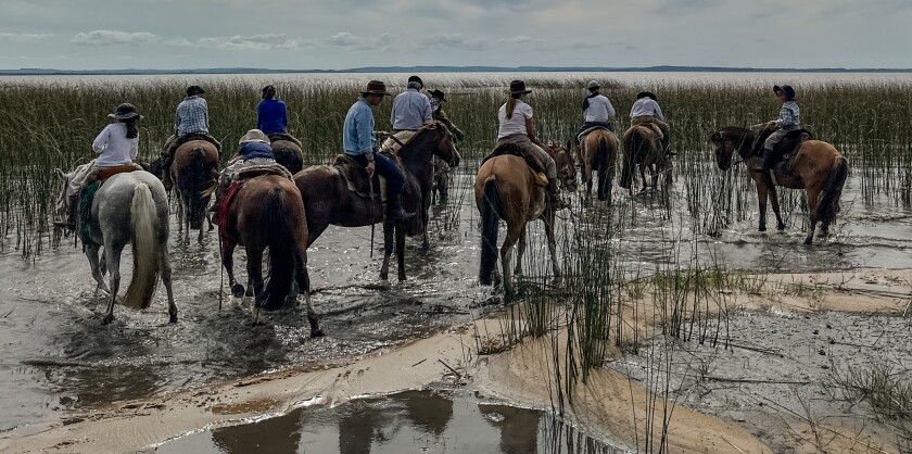 Cabalgata 2025 2.jpg