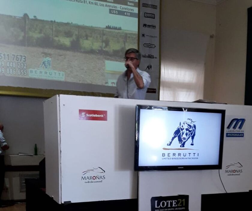 lote-21.jpg