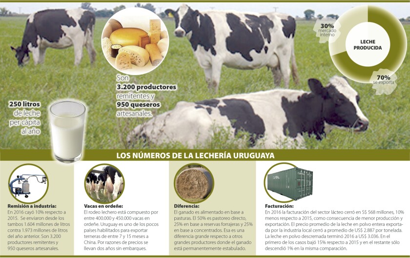 Los números de la lechería.