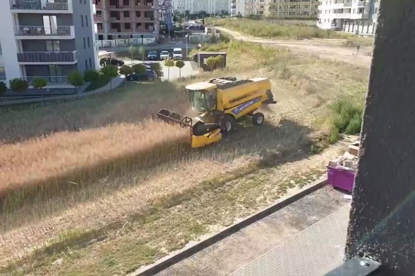 2oafsynv5zfdved5rsbehhuviy.jpg