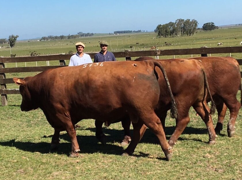 b2545520-f1d8-4987-a75f-e870ae6b56be