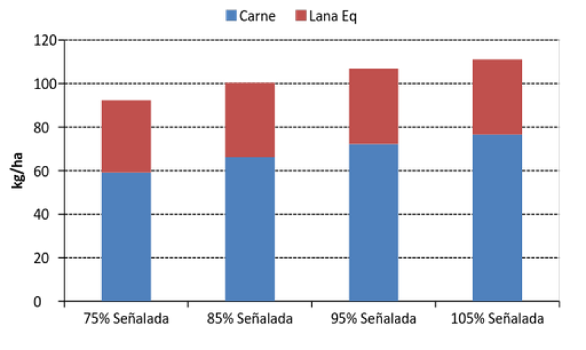 GRAFICO 1