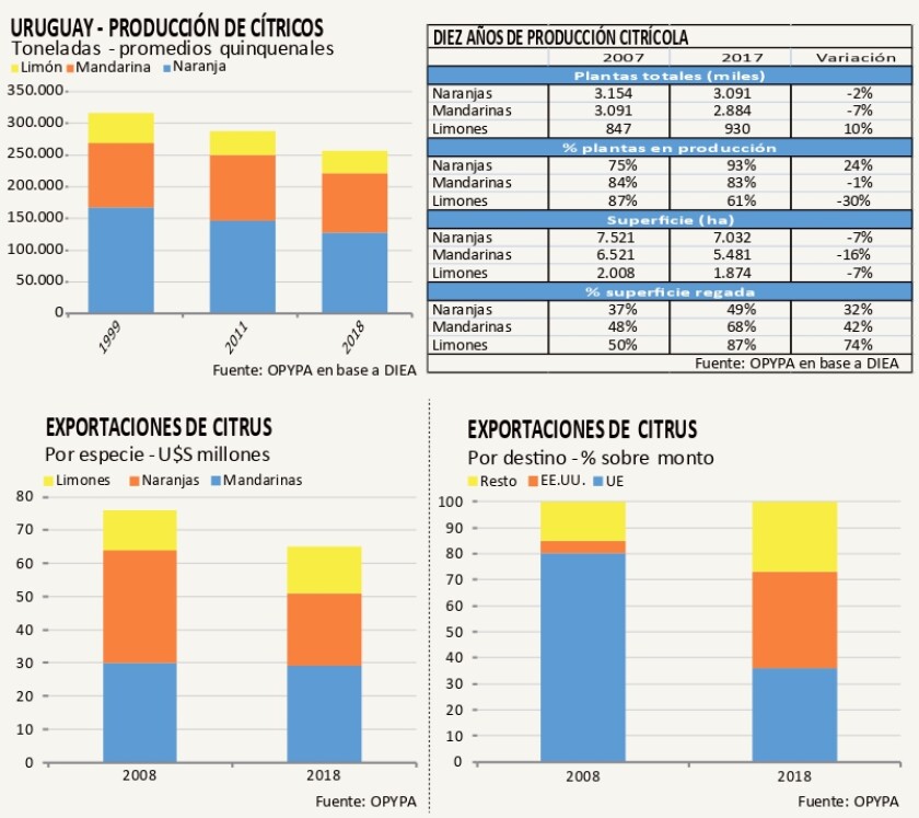 graficas-lussich.jpg