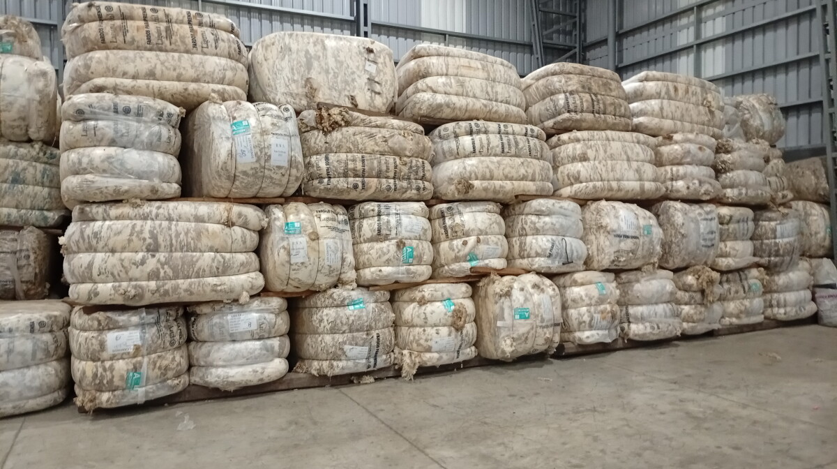 Exportaciones del rubro ovino crecieron un 26%