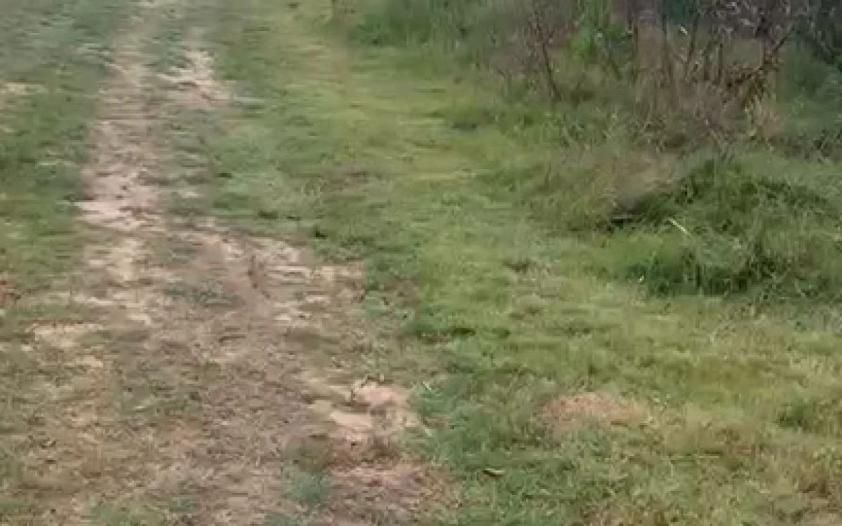 Denuncian obras irregulares en el Arroyo El Potrero, mientras la Justicia frena una concesión de 50 años