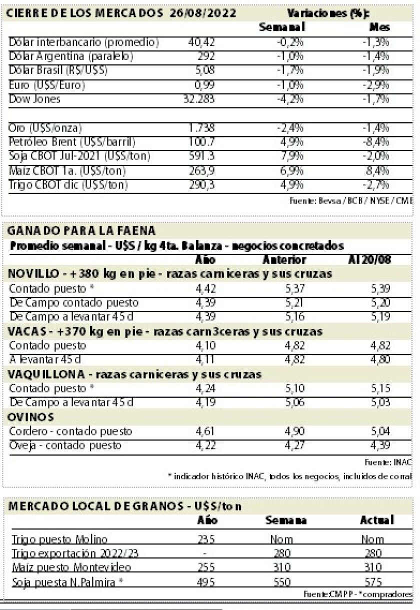 mercados.jpg