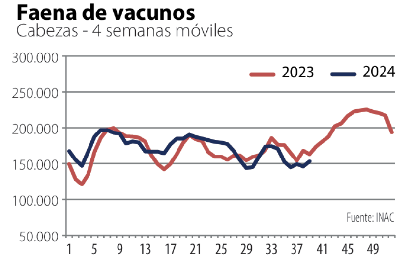 Faena de vacunos