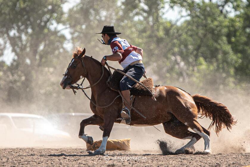 La Constancia ok .jpg