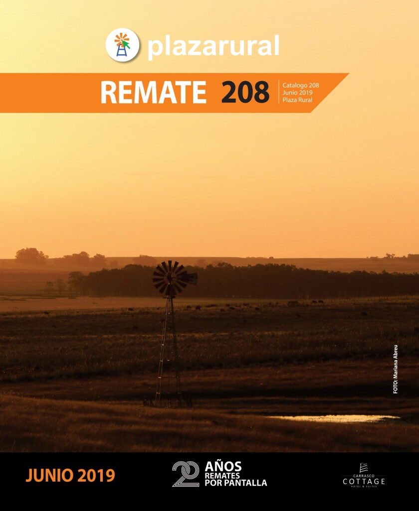 imagen-208-tapa-page-0001.jpg