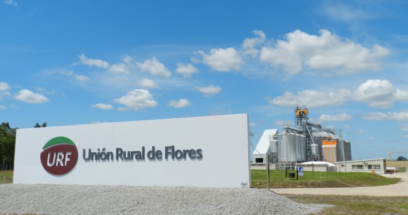 institucionalurf.jpg