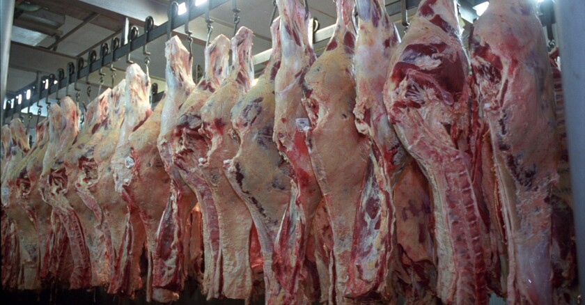 Carne
