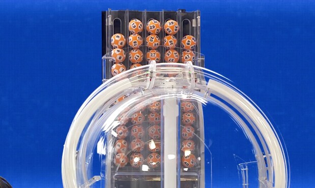 Bolillero del 5 de Oro Revancha.