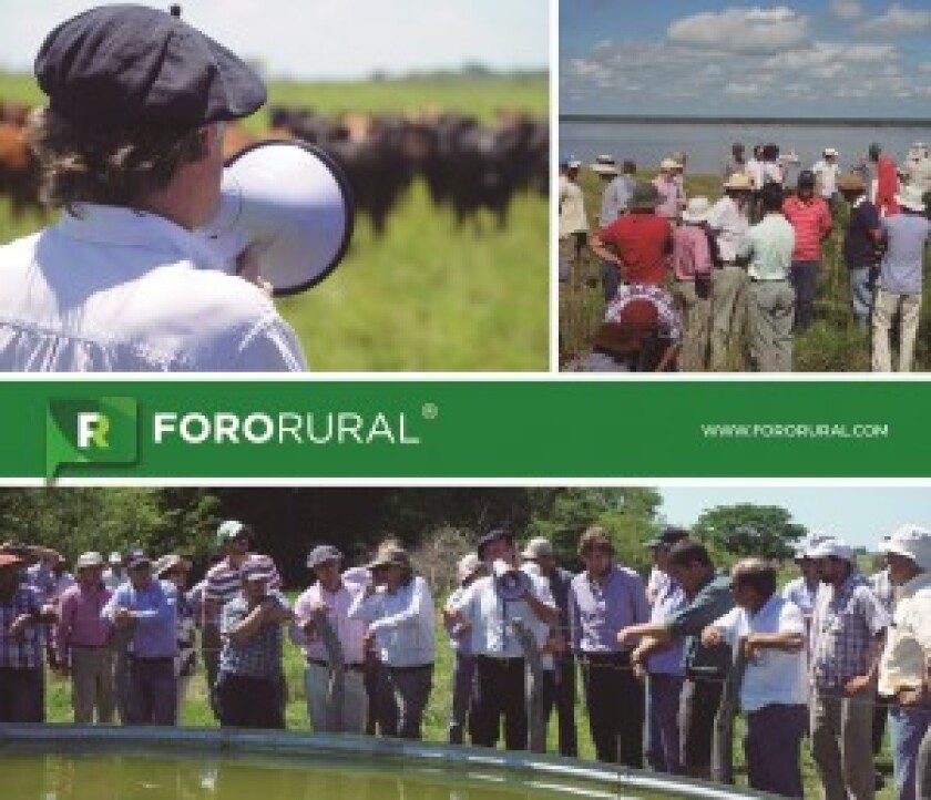 Fororural