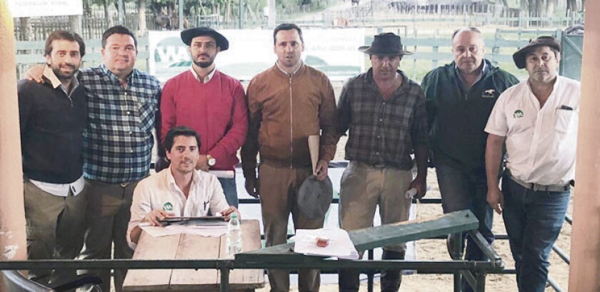 imagen-abelenda.jpg
