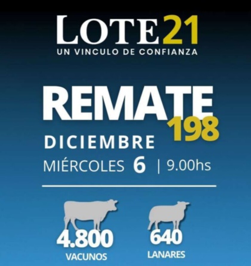 Foto previa Lote 21.jpg