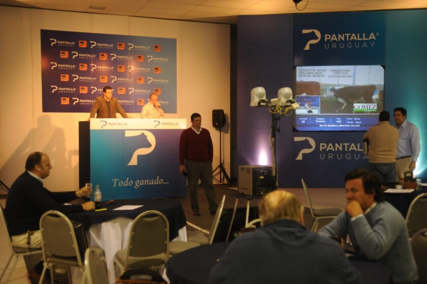 Remate por pantalla de Pantalla Uruguay en la Rur. del Prado, Mvdeo., ND 20150828, foto Francisco Flores