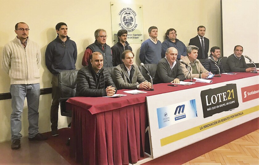 lote-21.jpg