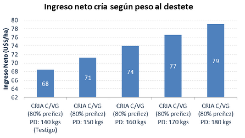 Gráfica 1 / Consultora Apeo