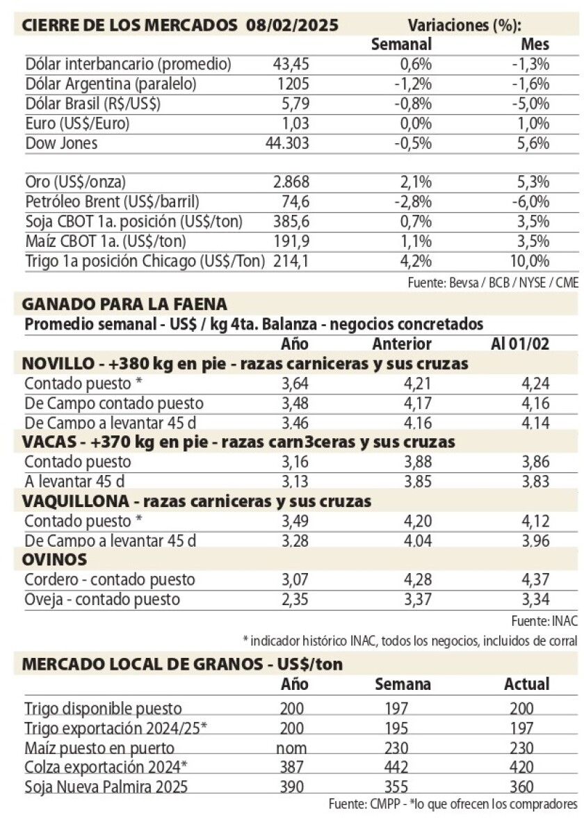 Cuadros NcL.jpg