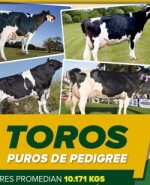 Foto nota 2 jueves.jpg