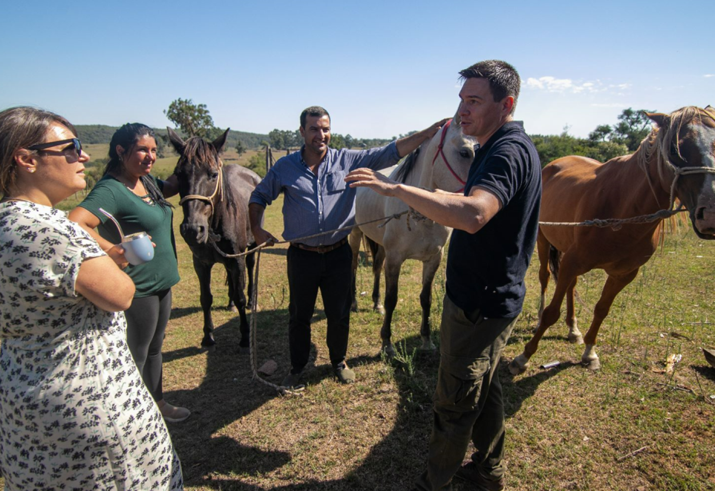 INBA y protectoras de animales trabajan en el cuidado de caballos rescatados