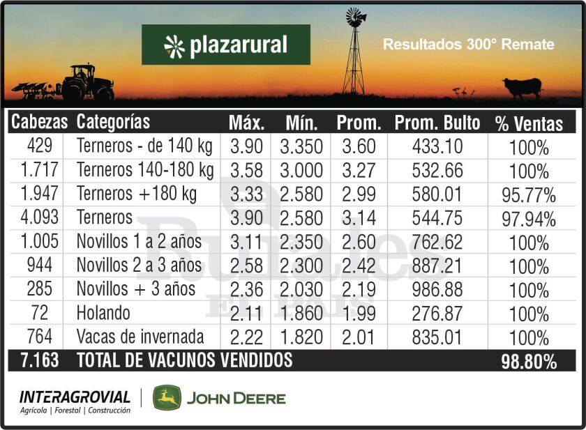 3x6 Plaza 300.jpg